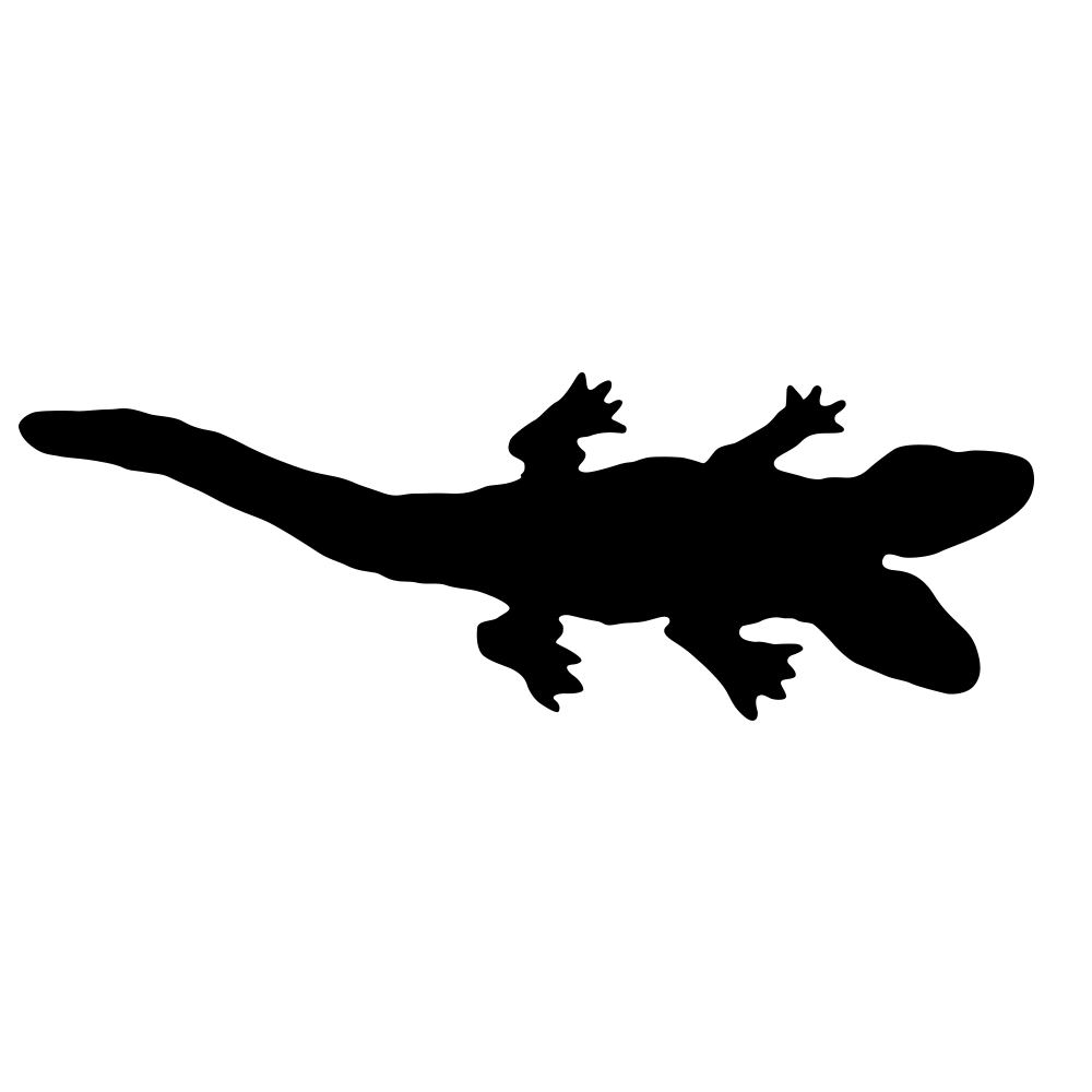 Test 2