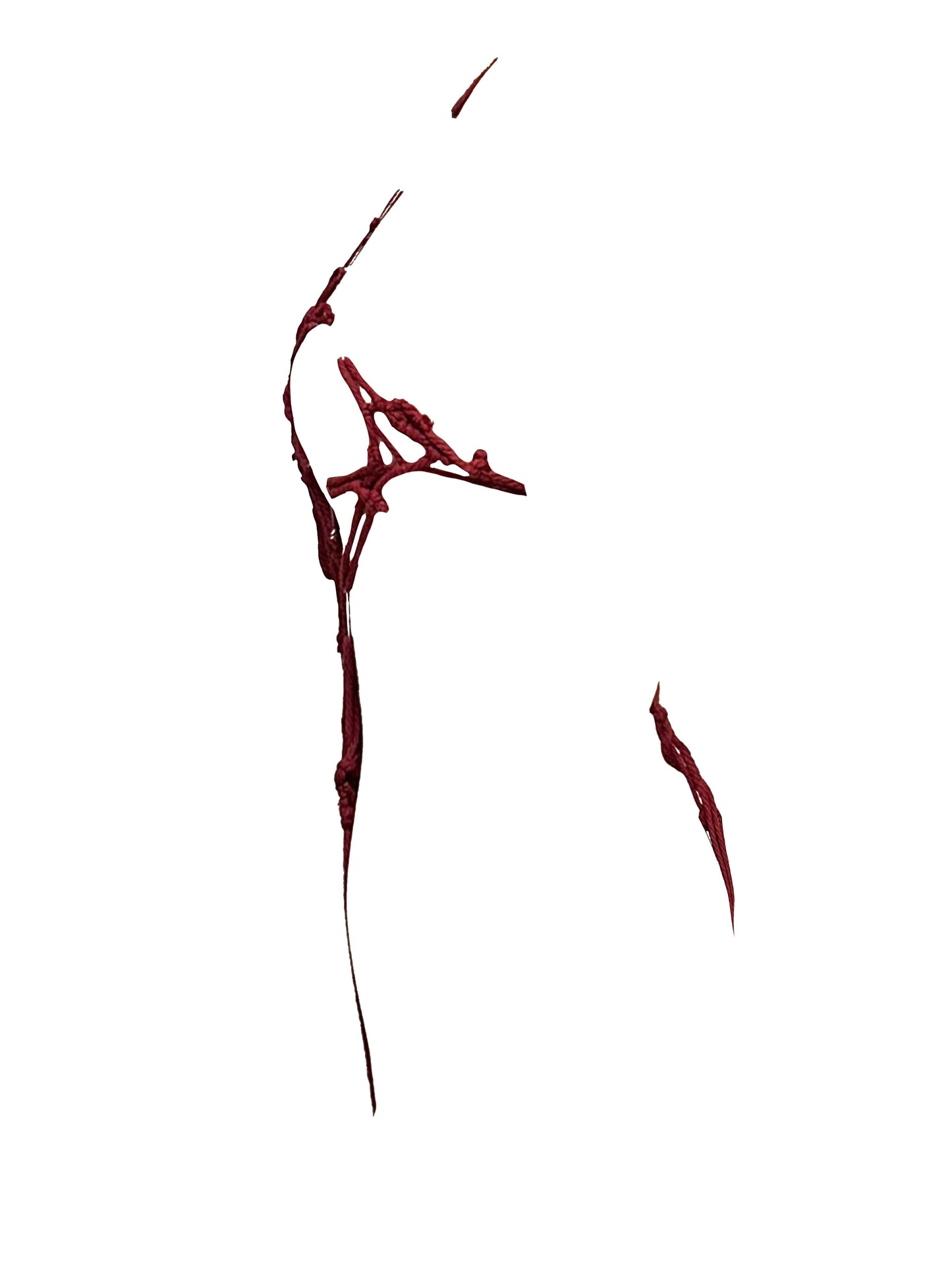 025