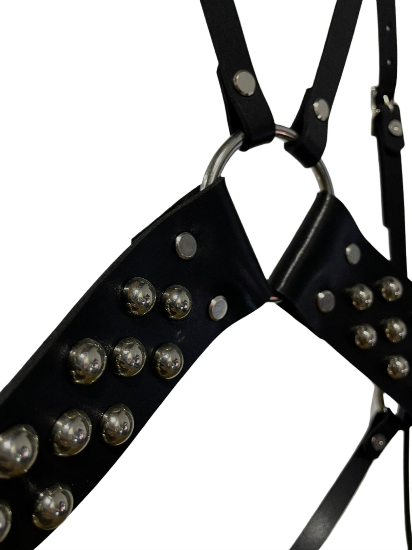 ARACHNID  HARNESS