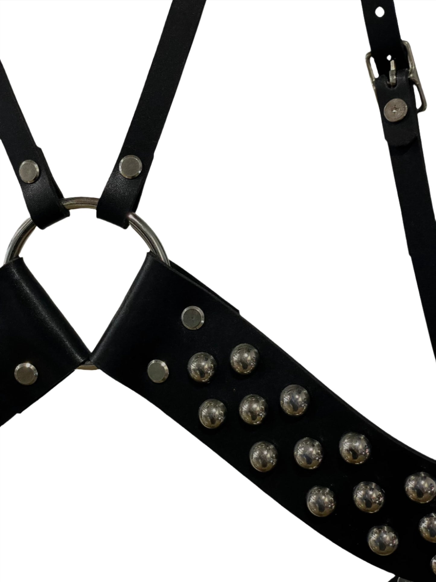 ARACHNID  HARNESS