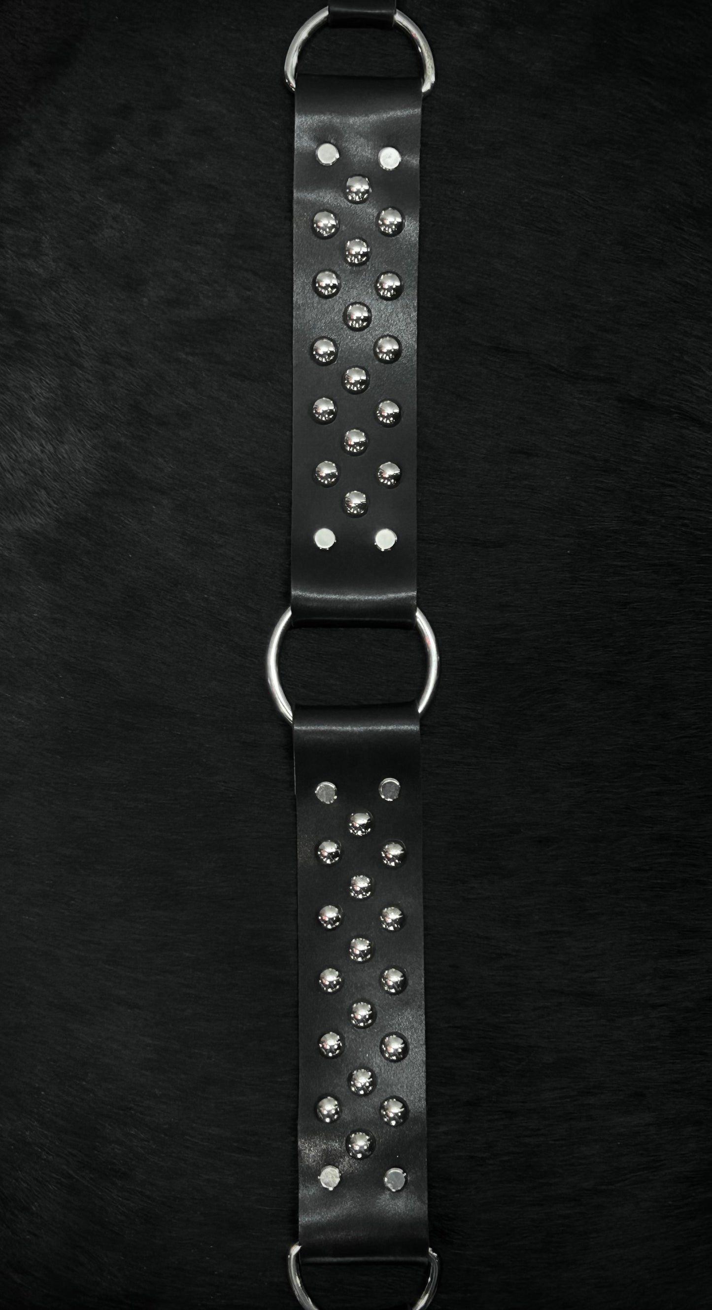 ARACHNID BELT