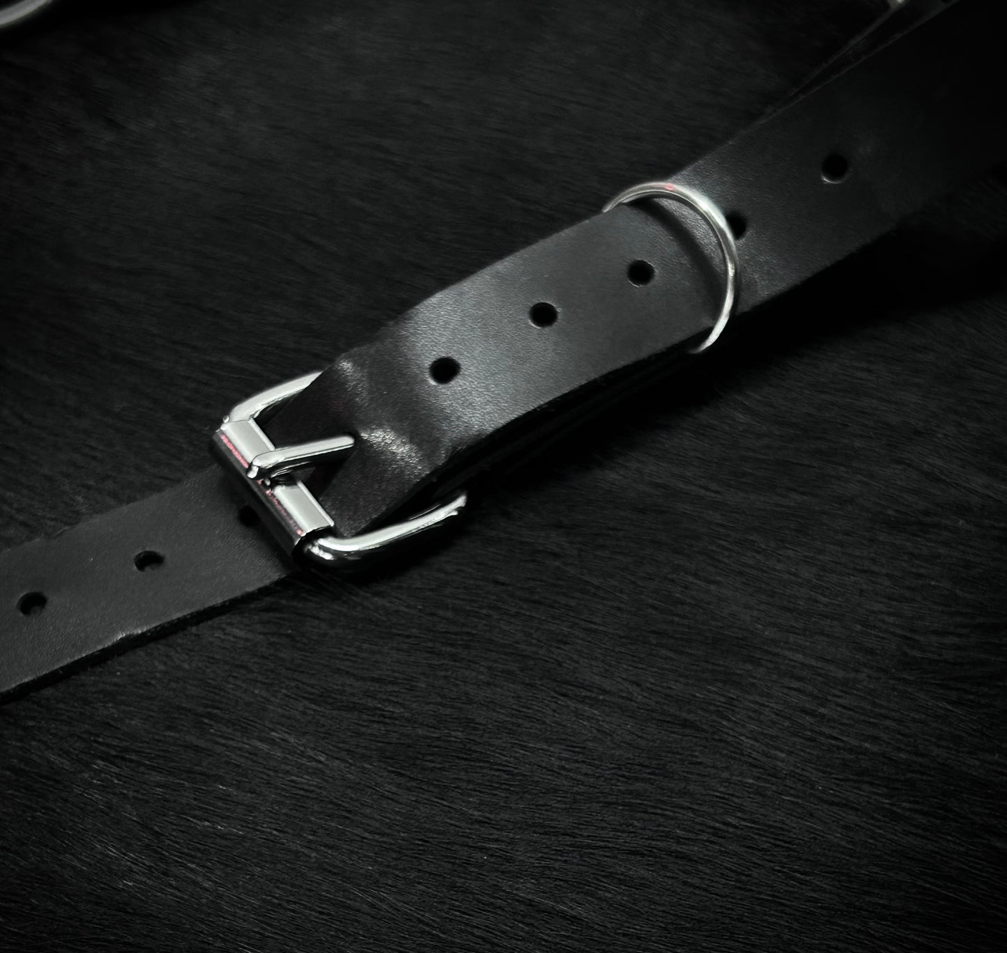 ARACHNID BELT