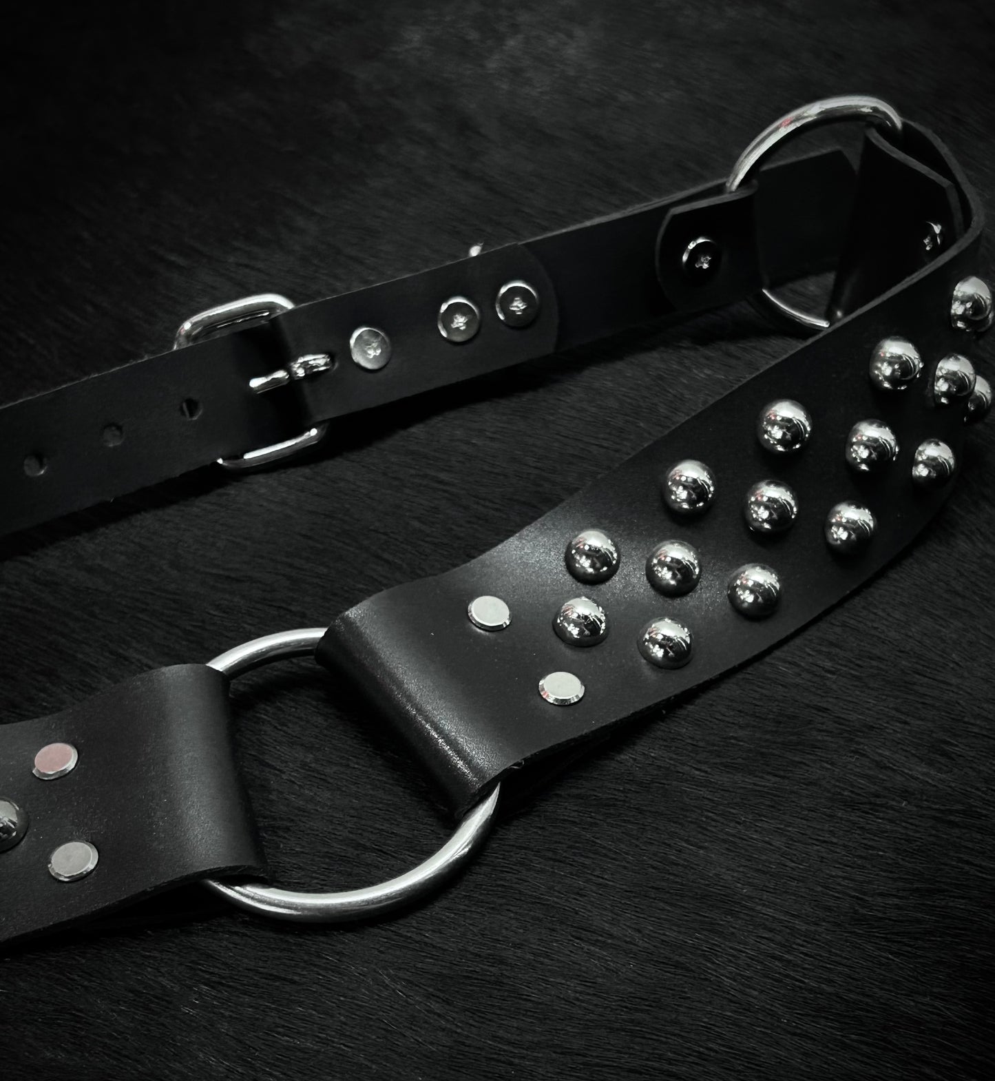 ARACHNID BELT