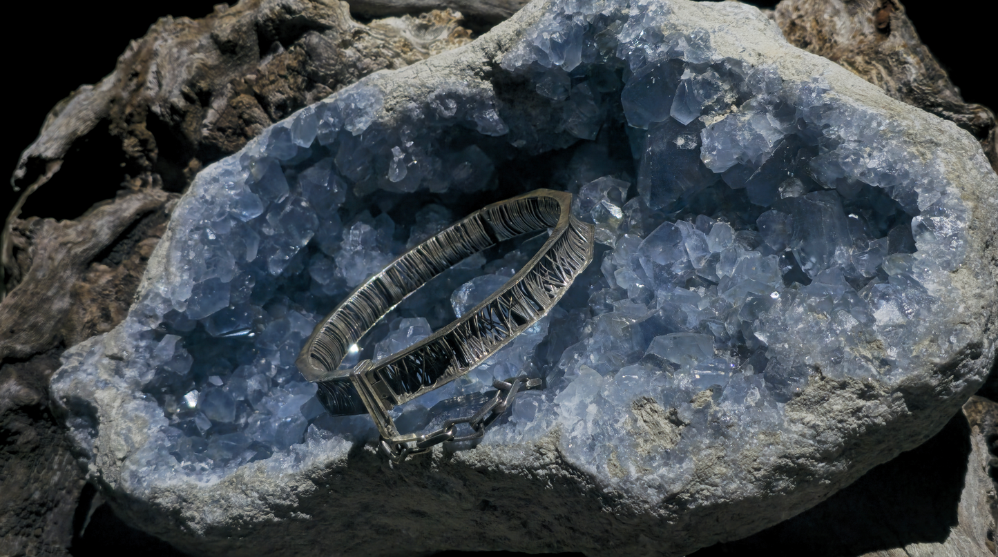 SIREN SHACKLE