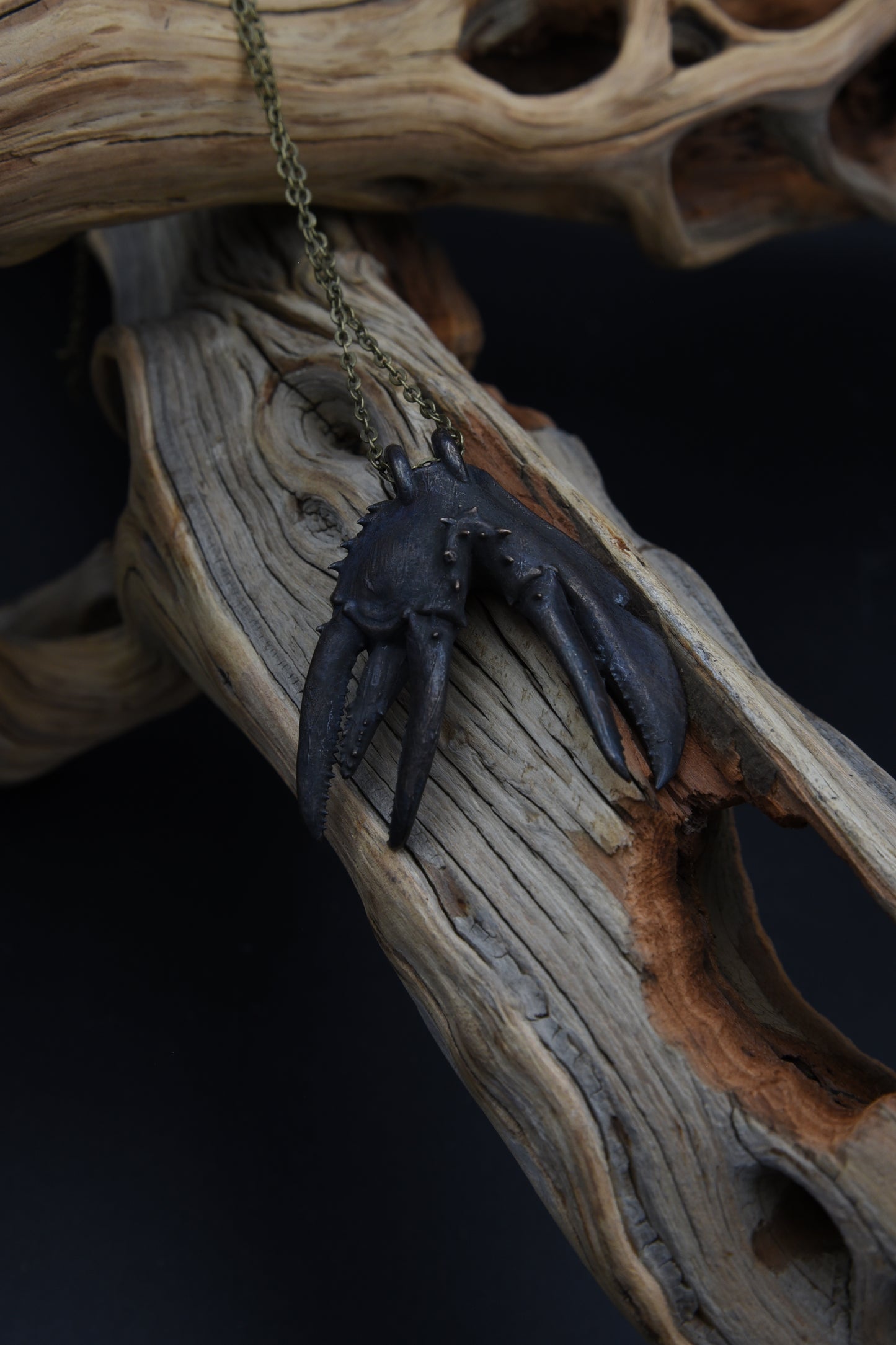 TWIN CLAW