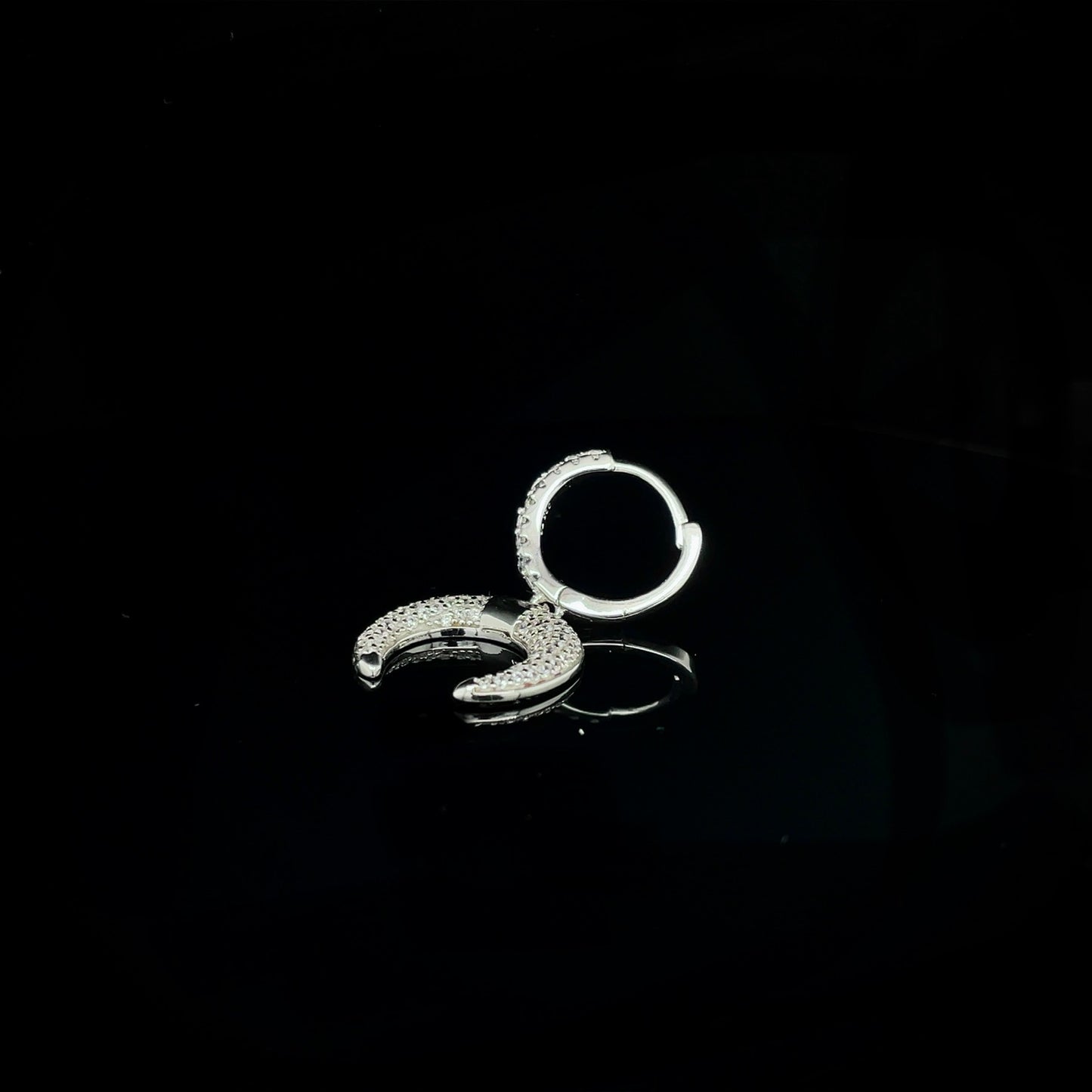 Crescent Moon Earrings (Pair)