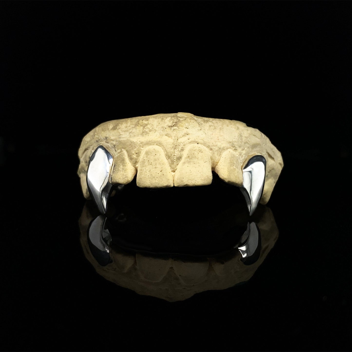 Silver Vampire Fang Grillz by Alligator Jesus